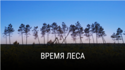 "Время леса". Режиссер: Франсуа-Ксавье Друэ